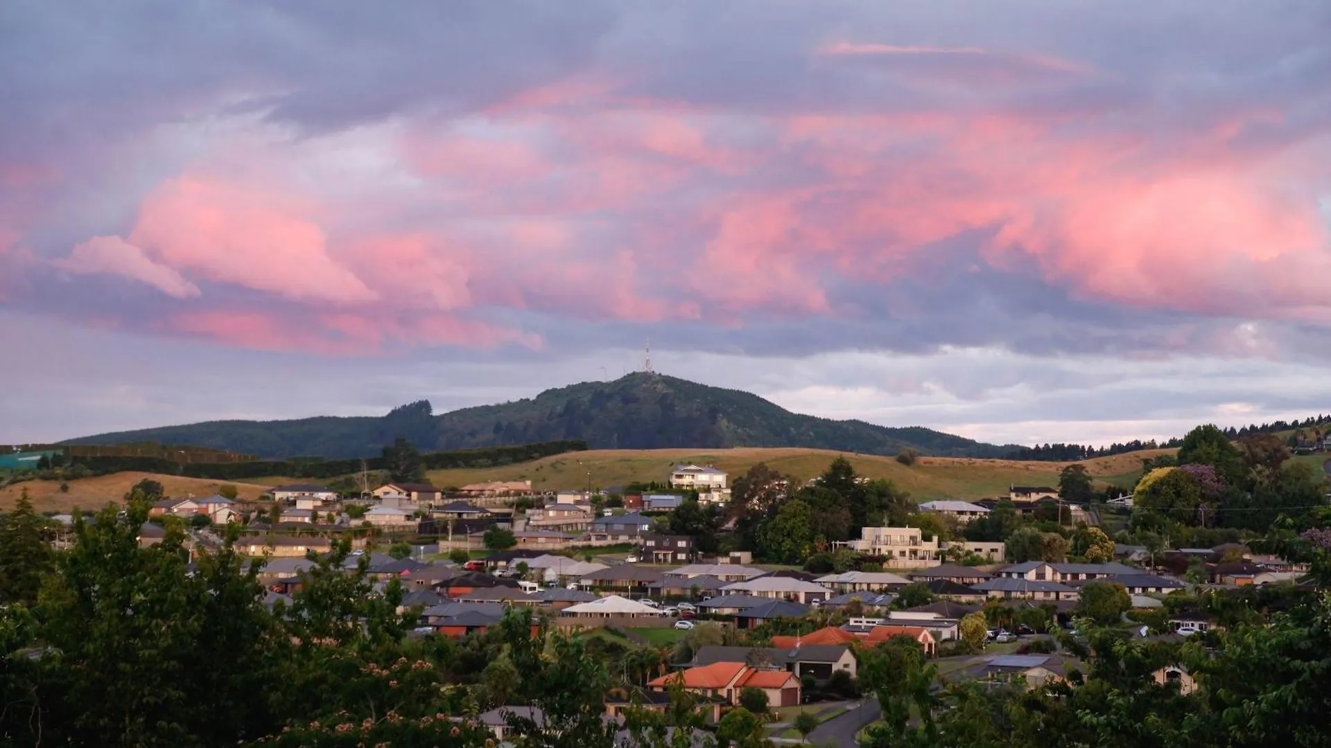 Welcome Bay Heights Tauranga 0*,